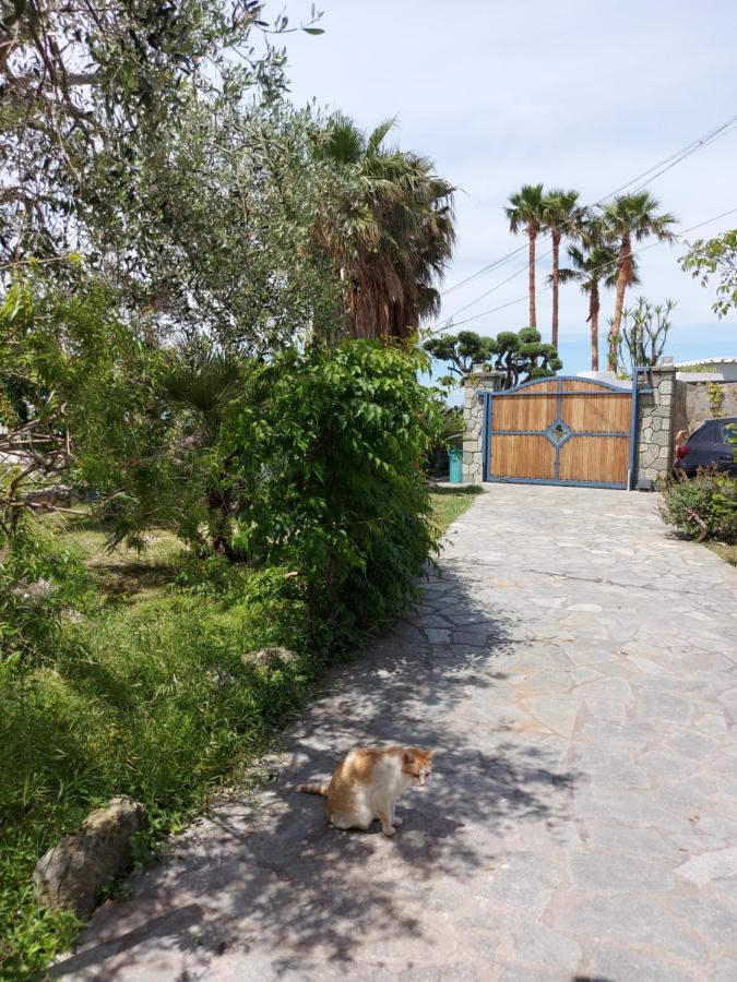 Villa Symphony Sea View Forio di Ischia Buitenkant foto