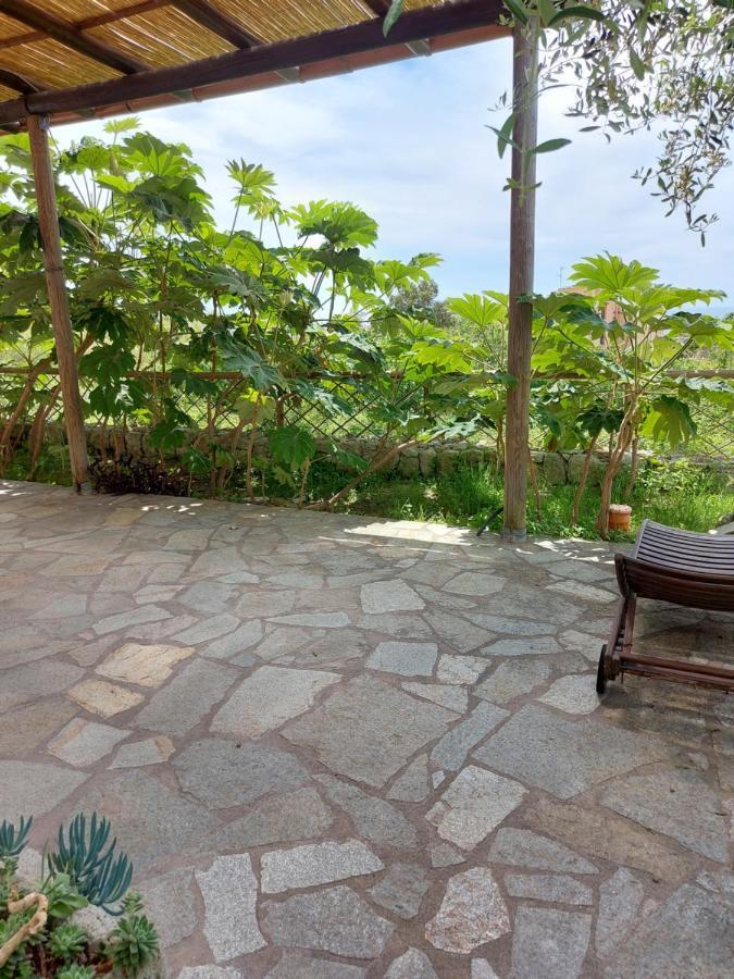 Villa Symphony Sea View Forio di Ischia Buitenkant foto