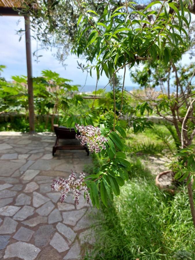 Villa Symphony Sea View Forio di Ischia Buitenkant foto