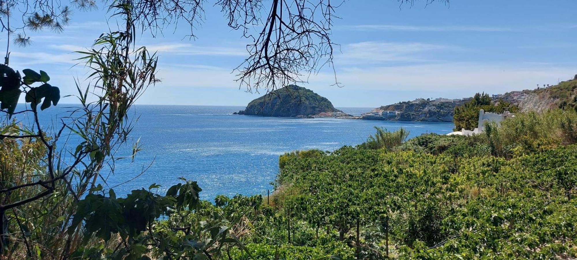 Villa Symphony Sea View Forio di Ischia Buitenkant foto